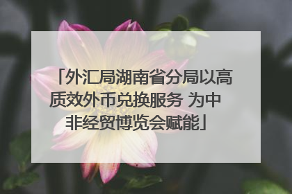 外汇局湖南省分局以高质效外币兑换服务 为中非经贸博览会赋能
