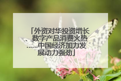 外资对华投资增长、数字产品消费火热……中国经济加力发展动力强劲