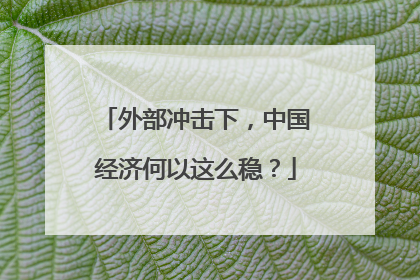 外部冲击下，中国经济何以这么稳？