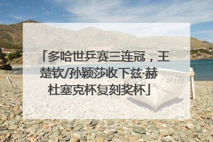 多哈世乒赛三连冠，王楚钦/孙颖莎收下兹·赫杜塞克杯复刻奖杯
