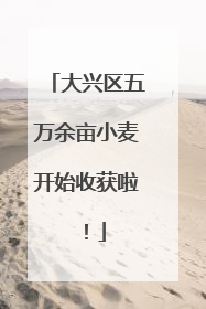 大兴区五万余亩小麦开始收获啦！