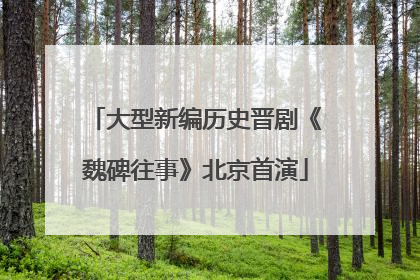 大型新编历史晋剧《魏碑往事》北京首演