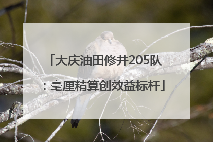 大庆油田修井205队：毫厘精算创效益标杆