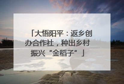 大悟阳平：返乡创办合作社，种出乡村振兴“金稻子”