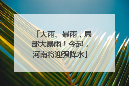 大雨、暴雨，局部大暴雨！今起，河南将迎强降水