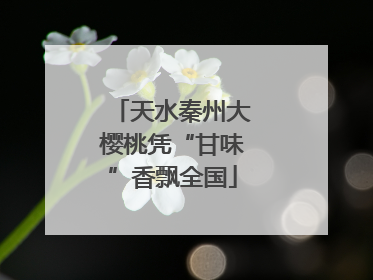 天水秦州大樱桃凭“甘味”香飘全国