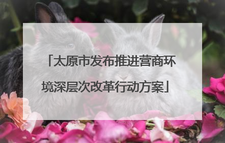 太原市发布推进营商环境深层次改革行动方案