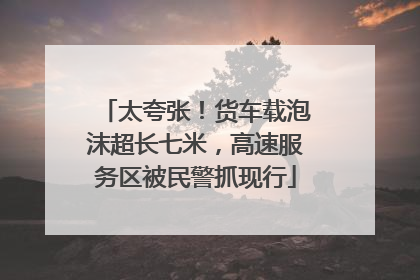 太夸张！货车载泡沫超长七米，高速服务区被民警抓现行