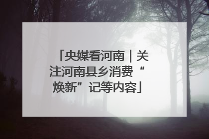 央媒看河南｜关注河南县乡消费“焕新”记等内容