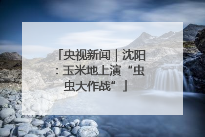 央视新闻｜沈阳：玉米地上演“虫虫大作战”