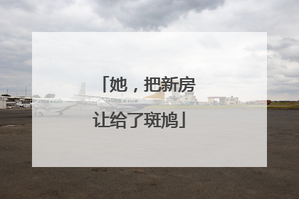 她，把新房让给了斑鸠