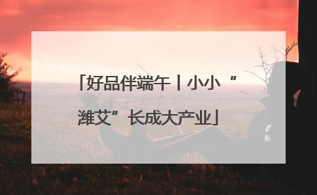 好品伴端午丨小小“潍艾”长成大产业