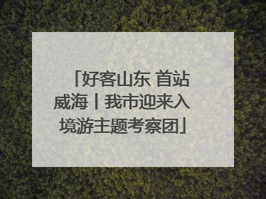 好客山东 首站威海丨我市迎来入境游主题考察团