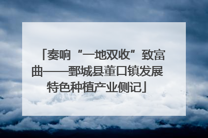 奏响“一地双收”致富曲——鄄城县董口镇发展特色种植产业侧记