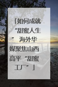 如何成就“甜蜜人生” 海外华媒聚焦山西高平“甜蜜工厂”