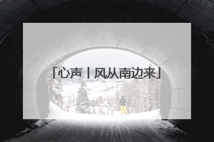 心声丨风从南边来