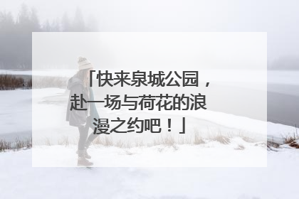 快来泉城公园，赴一场与荷花的浪漫之约吧！