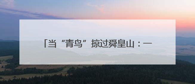 当“青鸟”掠过舜皇山：一场生态与文明的双向奔赴