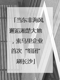 当东非海风邂逅湘楚大地，索马里企业首次“组团”刷长沙