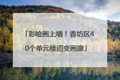 彩绘画上墙！香坊区40个单元楼道变画廊
