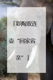 彩陶双连壶“回家省亲”