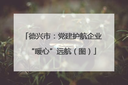 德兴市：党建护航企业“暖心”远航（图）