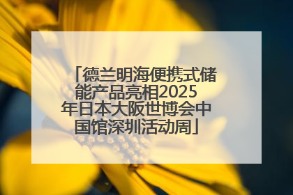 德兰明海便携式储能产品亮相2025年日本大阪世博会中国馆深圳活动周