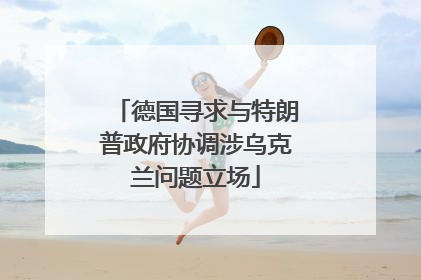 德国寻求与特朗普政府协调涉乌克兰问题立场