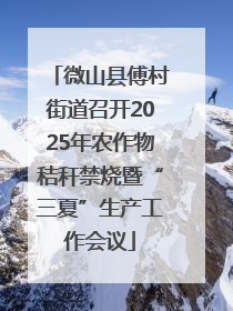 微山县傅村街道召开2025年农作物秸秆禁烧暨“三夏”生产工作会议