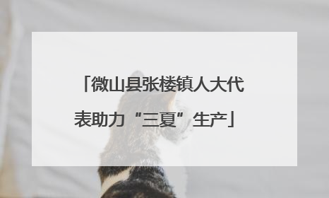 微山县张楼镇人大代表助力“三夏”生产