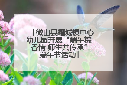 微山县驩城镇中心幼儿园开展“端午粽香情 师生共传承”端午节活动