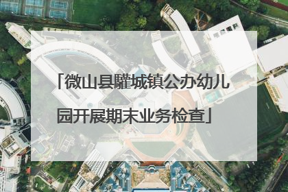 微山县驩城镇公办幼儿园开展期末业务检查