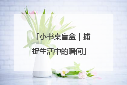 小书桌盲盒｜捕捉生活中的瞬间