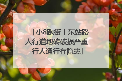 小8跑街丨东站路人行道地砖破损严重 行人通行存隐患