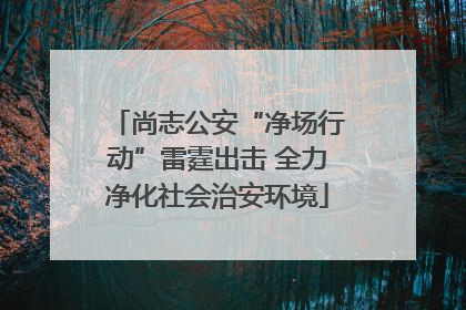 尚志公安“净场行动”雷霆出击 全力净化社会治安环境
