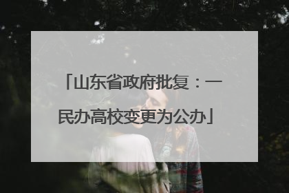 山东省政府批复：一民办高校变更为公办