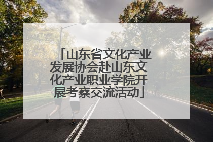 山东省文化产业发展协会赴山东文化产业职业学院开展考察交流活动