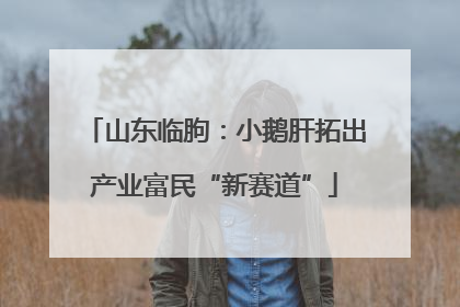 山东临朐：小鹅肝拓出产业富民“新赛道”