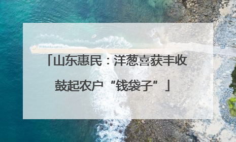 山东惠民：洋葱喜获丰收 鼓起农户“钱袋子”