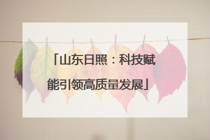 山东日照：科技赋能引领高质量发展