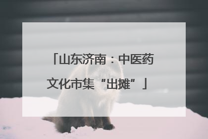山东济南：中医药文化市集“出摊”