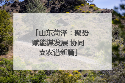 山东菏泽：聚势赋能谋发展 协同支农谱新篇