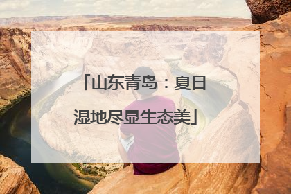 山东青岛：夏日湿地尽显生态美