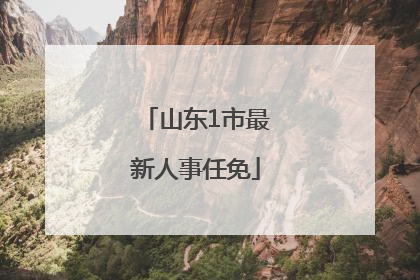 山东1市最新人事任免