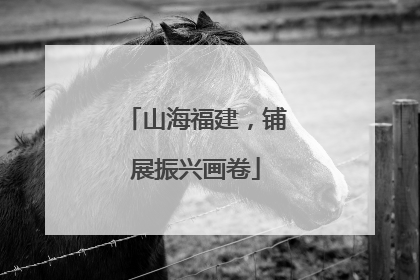 山海福建，铺展振兴画卷