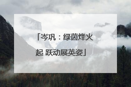 岑巩:绿茵烽火起 跃动展英姿