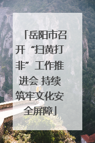 岳阳市召开“扫黄打非”工作推进会 持续筑牢文化安全屏障
