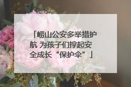 崂山公安多举措护航 为孩子们撑起安全成长“保护伞”