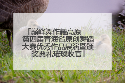 巅峰舞作耀高原——第四届青海省原创舞蹈大赛优秀作品展演暨颁奖典礼璀璨收官