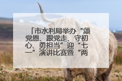 市水利局举办“颂党恩、跟党走、守初心、勇担当”迎“七一”演讲比赛暨“两优一先”表彰活动